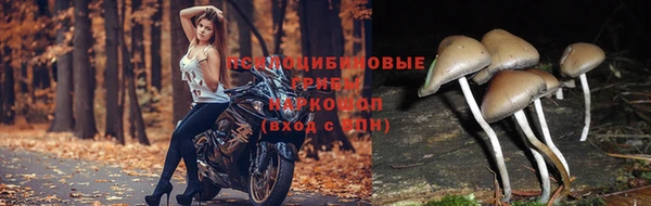 альфа пвп VHQ Абаза