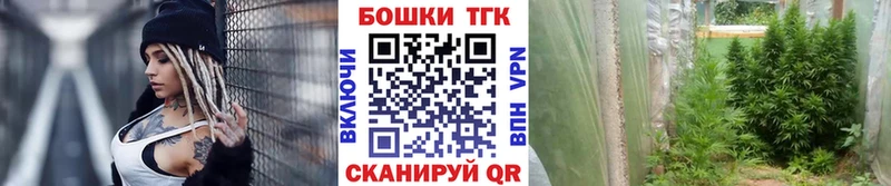 Бошки марихуана THC 21%  Усть-Кут 